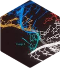 In Vitro E. Coli
