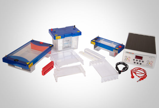 Mini Tub Electrophoresis System