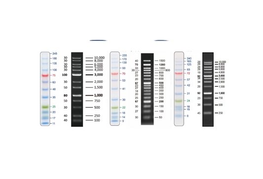Electrophoresis reagents