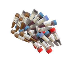 PCR reagents