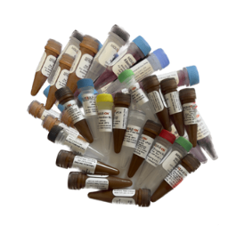qPCR REAGENTS